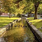 Lititz Springs Park