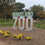 The Maryland Zoo in Baltimore