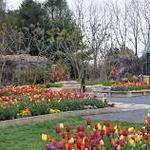 The Arboretum at Penn State