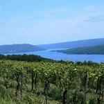 The Finger Lakes