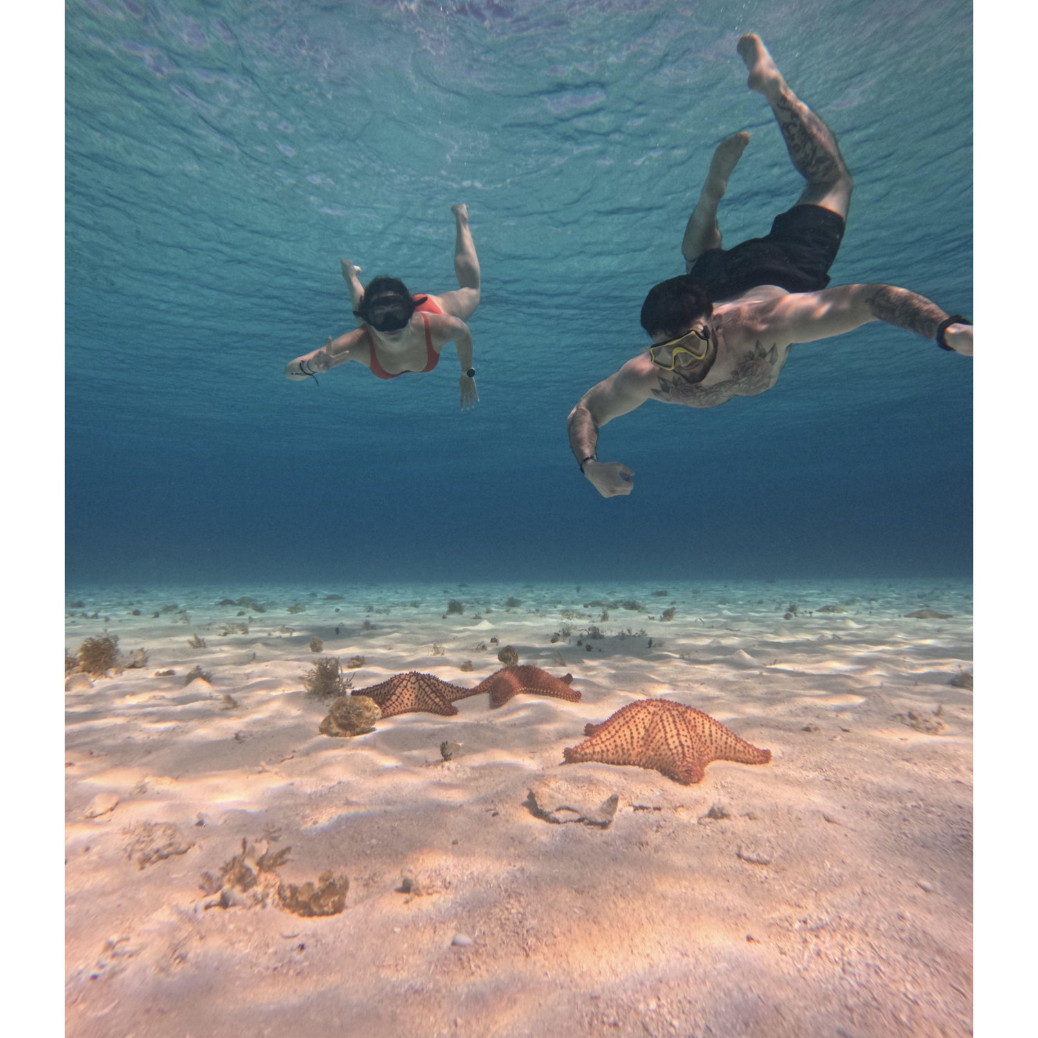 Selfie with starfish