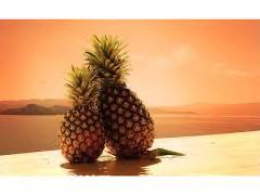 c30f6b4e-e1cb-4984-8f89-b2cbebaa1196