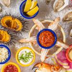 Broad Street Oyster Company