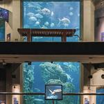 Charleston Aquarium