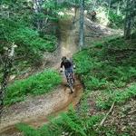 Mountain Biking at Kingdom Trails