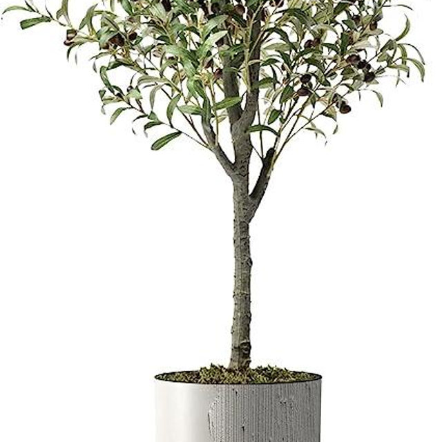 Artificial Tree in Modern Swirl Pattern Planter, Fake Olive Silk Tree for Indoor and Outdoor Home Decoration - 68" Overall Tall (Plant Pot Plus Tree)