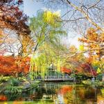 Fort Worth Botanic Garden