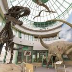 North Carolina Museum of Natural Sciences