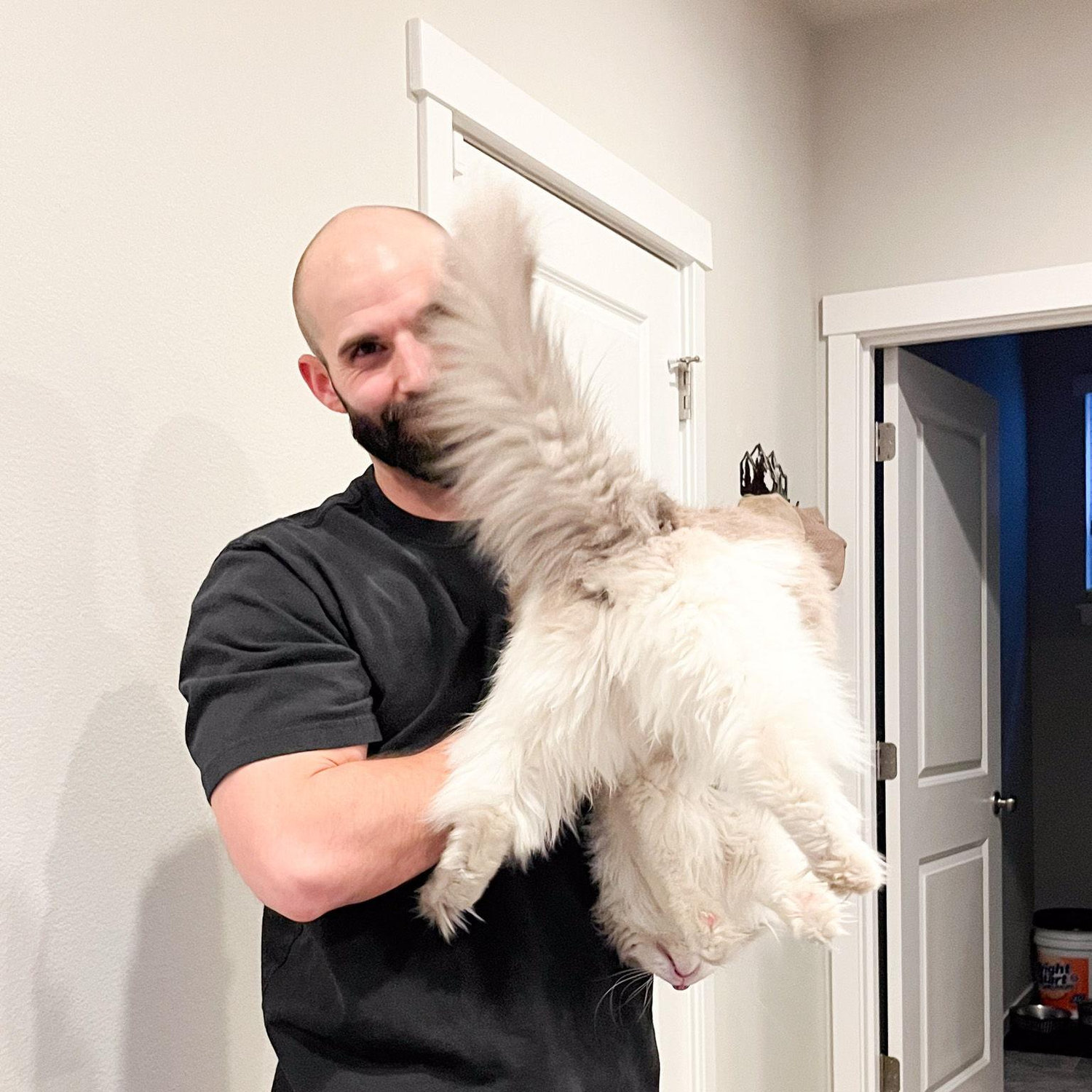 Mr. Toby fluffy butt