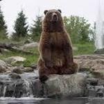 Minnesota Zoo