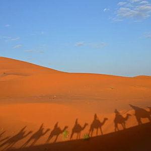 Dinner for two in Morocco