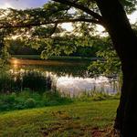 Fort Harrison State Park