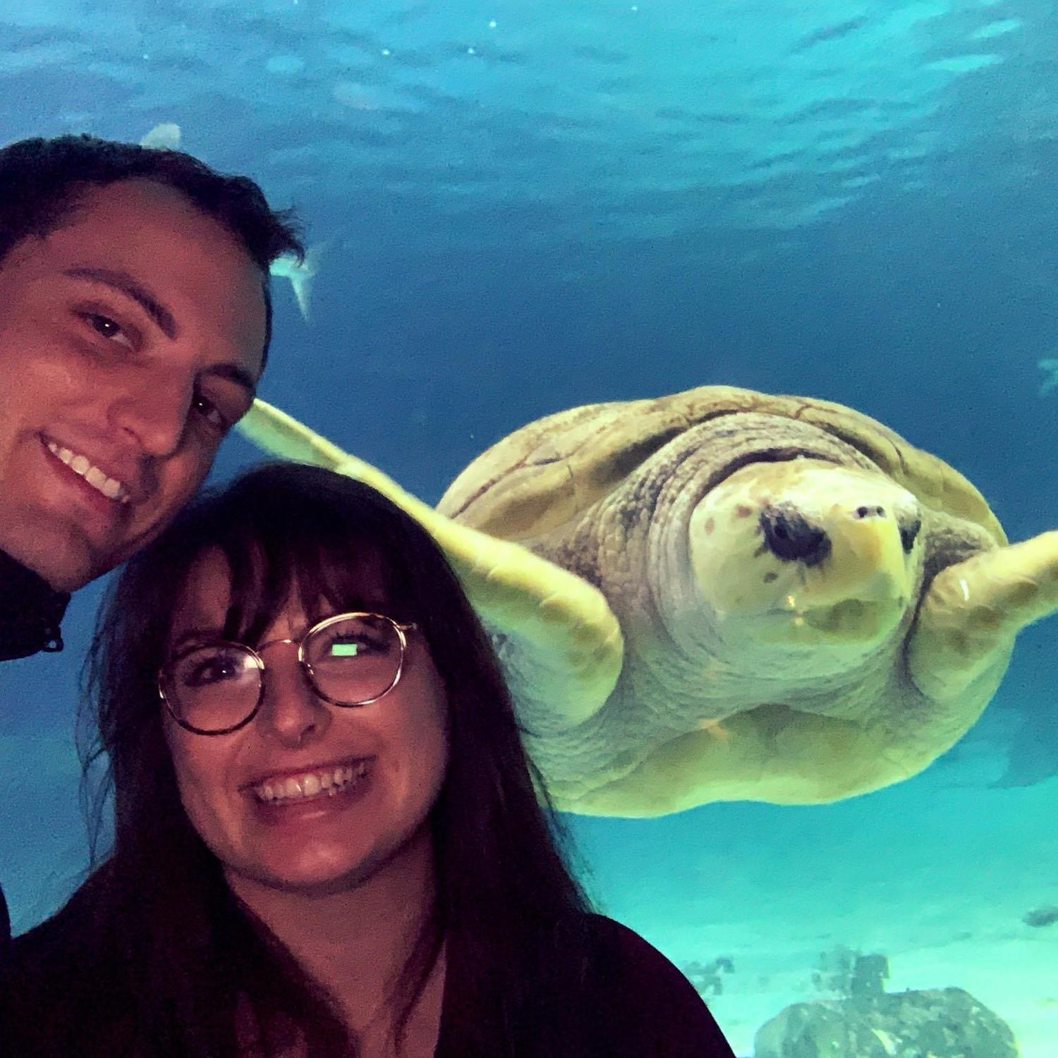 Aquarium trip (the turtle is real!)