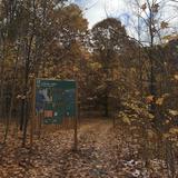 Torch Lake Nature Preserve