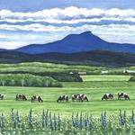 Camels Hump