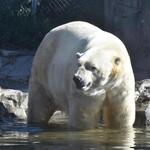 Utah's Hogle Zoo