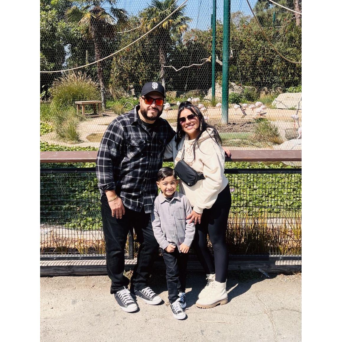 Our first family trip to the zoo #oaklandzoo