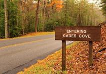 Cades Cove Loop Road