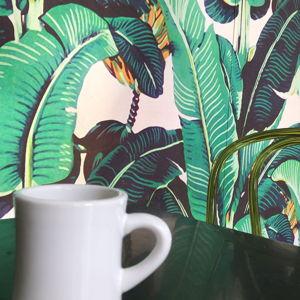 Purchase a Coffee eGift Card | Nespresso USA