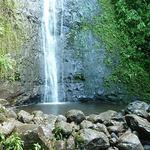 Manoa Falls