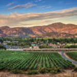 Napa Valley