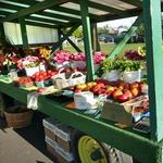 Port Austin Farmers Market