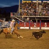 Steamboat Pro Rodeo