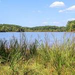 Forest Ridge Park