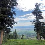 Hike Holly's Trail