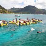 Rhino Mini-Speed Boat Snorkeling Tours SXM