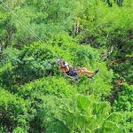 Outdoor Zip Line Adventure