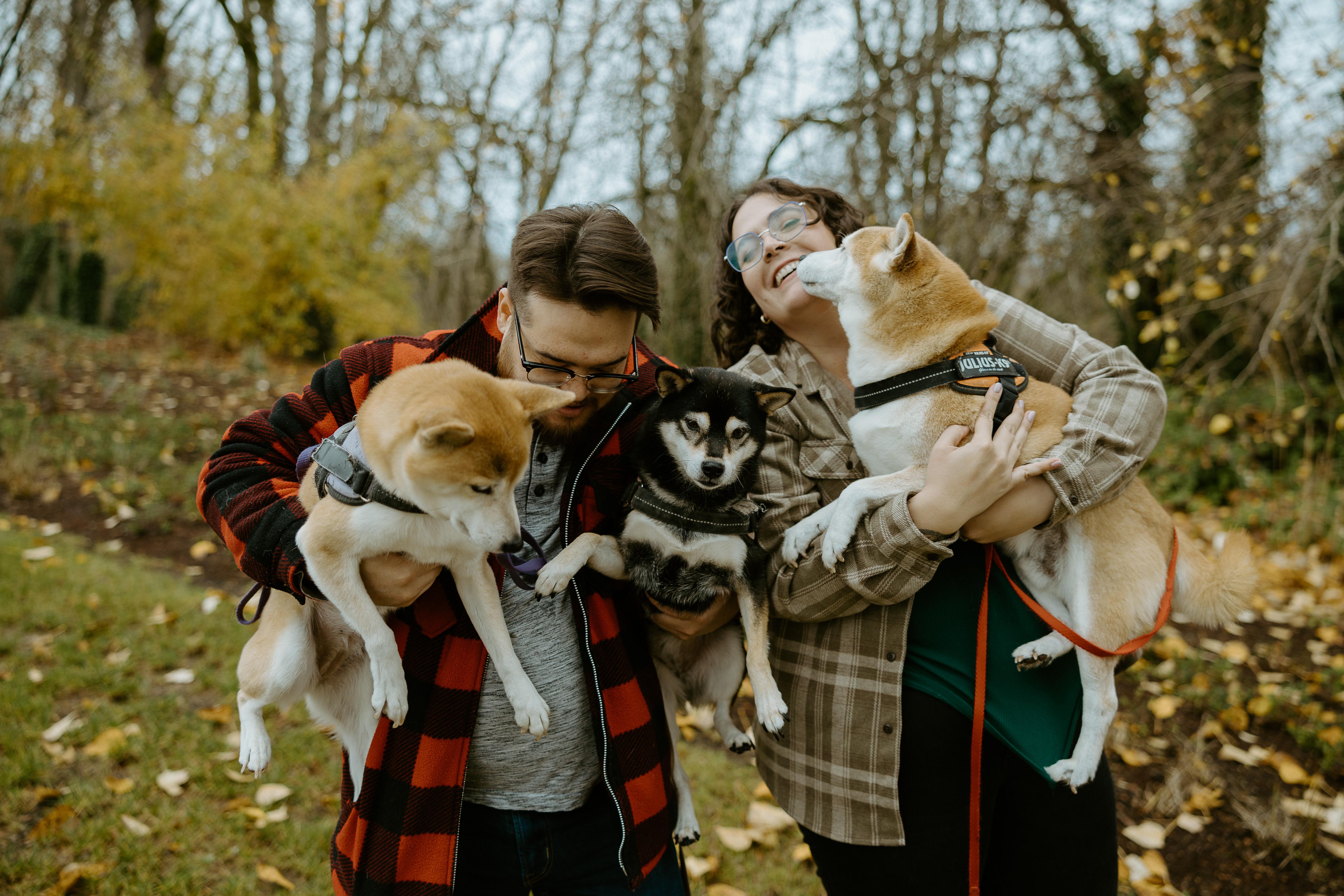 c323ea90-e3f0-4c2c-8847-2c4bb40c33b4