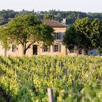 Saint-Émilion