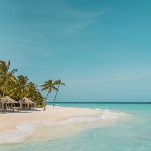 Honeymoon Resort