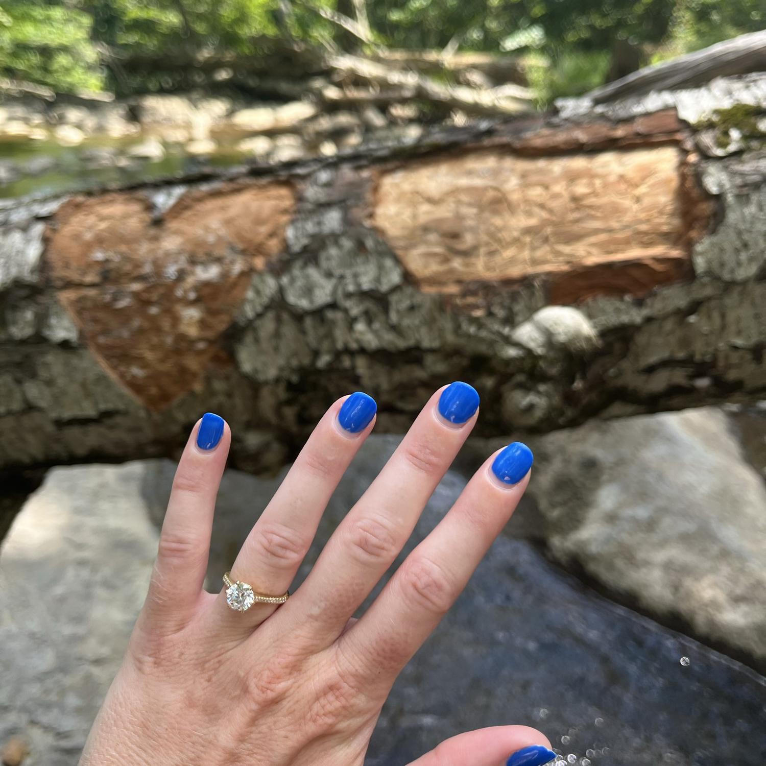 The proposal!!!! Cunningham Falls. July 23, 2022.