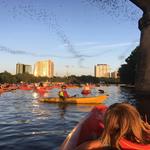 Live Love Paddle