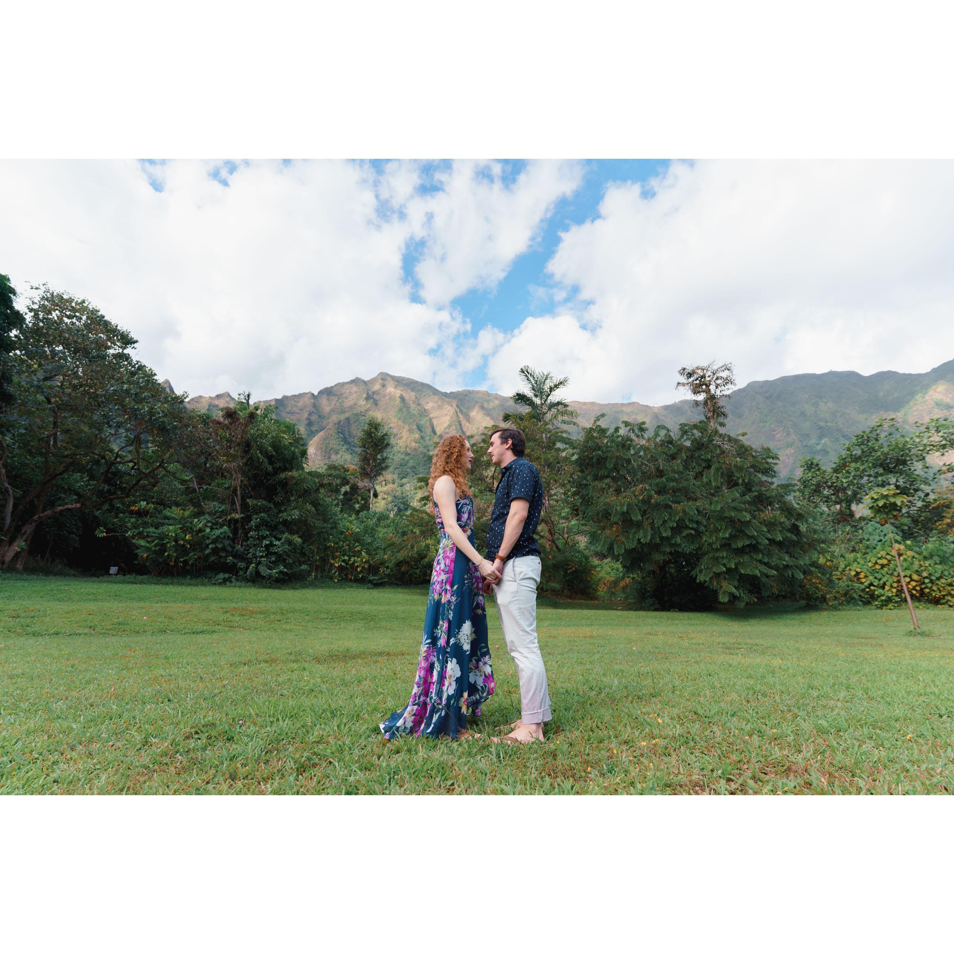 The Ko’olau Mountains, Botanical Gardens
