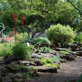 UCSC Arboretum