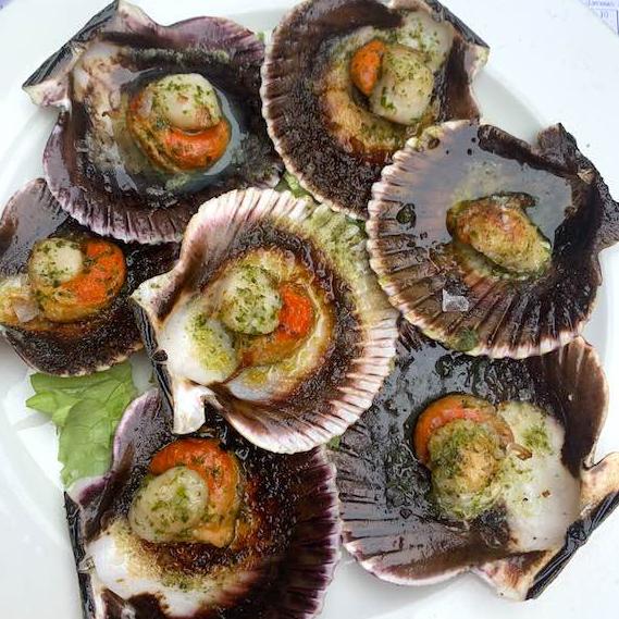 Camino Portugués Seafood fund