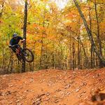 Northwoods Trails
