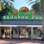 Audubon Zoo
