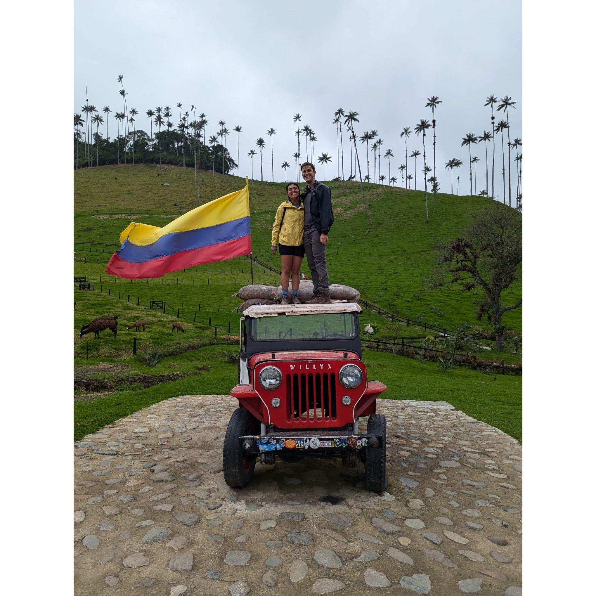 📍Valle de Cocora, Colombia