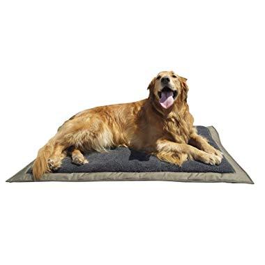 Lightspeed Outdoors Self Inflating Fleece Top Cover Travel Dog Bed | Kennel Bed , 32-Inch by 42 Inch
