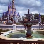 Walt Disney World® Resort