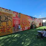 Wynwood Walls