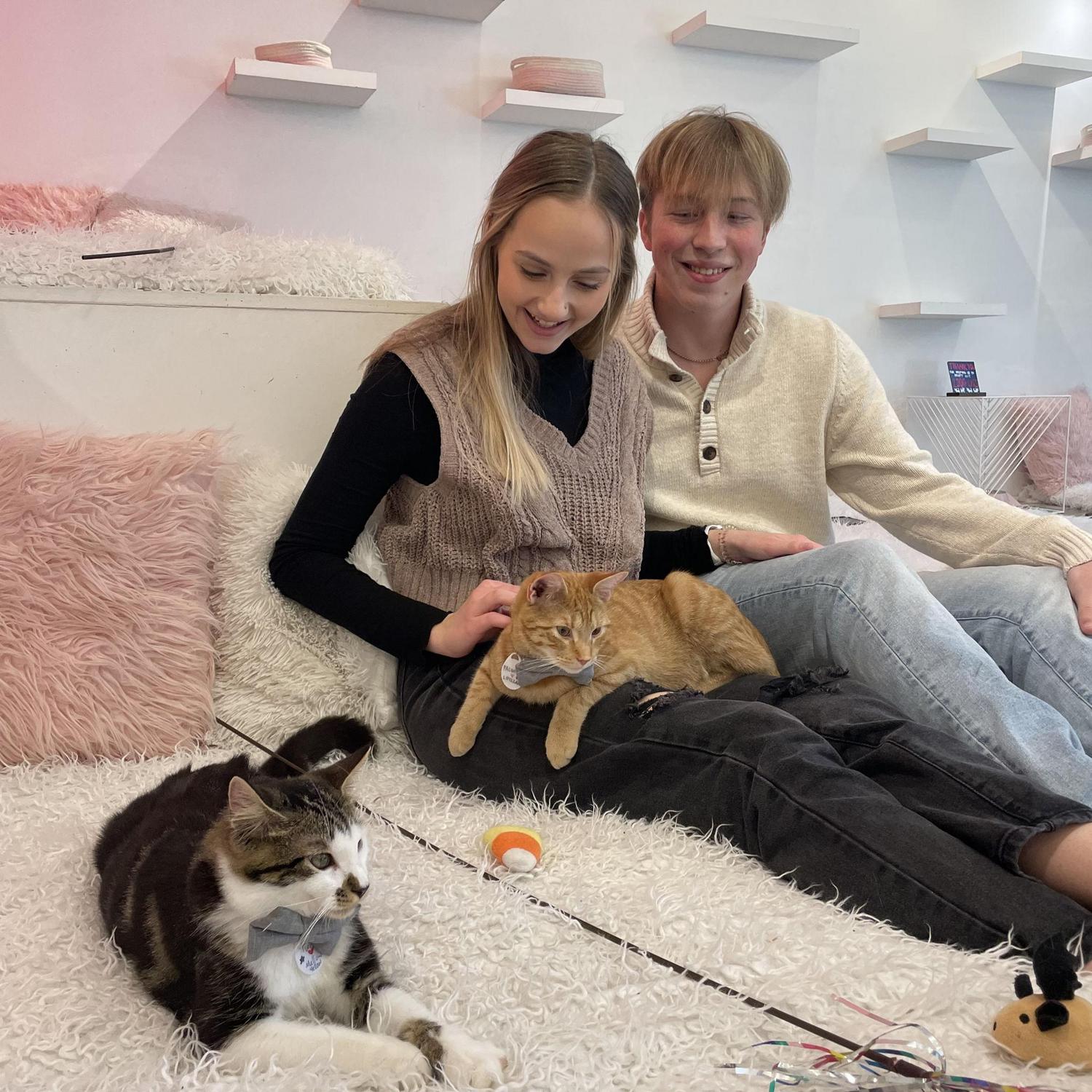 We spent the day in Washington, D.C. We visited the Spy Museum, and this was at a Kitty Cafe.