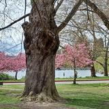 Seward Park