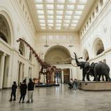 Field Museum