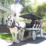 Enjoy a Carriage Ride