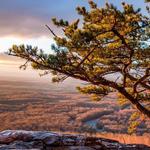 Bears Den Trail